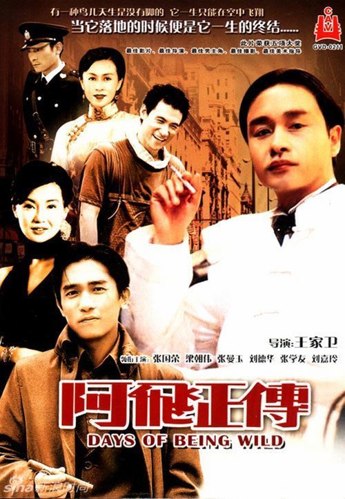 台湾驾驶证查询